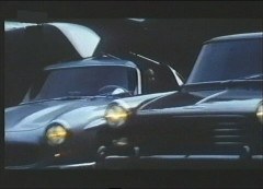 lockvogel2.jpg (10169 Byte)
